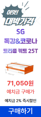 SG 독감 코로나 트리플 키트